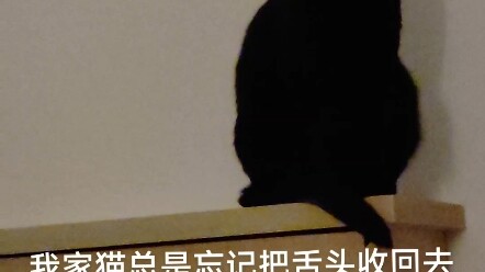 【我不困不困不困呢】我的最新作品，快来一睹为快！