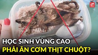 Xác minh thông tin "học sinh vùng cao phải ăn cơm với thịt chuột"