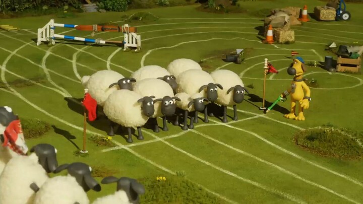 Steeplechase - Shaun the sheep