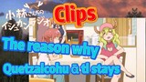 [Miss Kobayashi's Dragon Maid]  Clips | The reason why Quetzalcohuātl stays