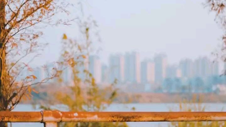 một chút vui vẻ cho đầu tuần :3