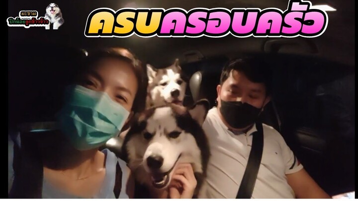 "ครบทีม"พ่อ-แม่-ลูก ในรถคันเดียวกันจะเฮฮาขนาดไหน  | มะขาม ปึกน้อย ลูกข้าวจ้าว EP. 311