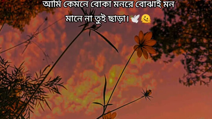 মানুষ আকাশের মতই বহুরূপী চেনা অসম্ভব) 🤍
