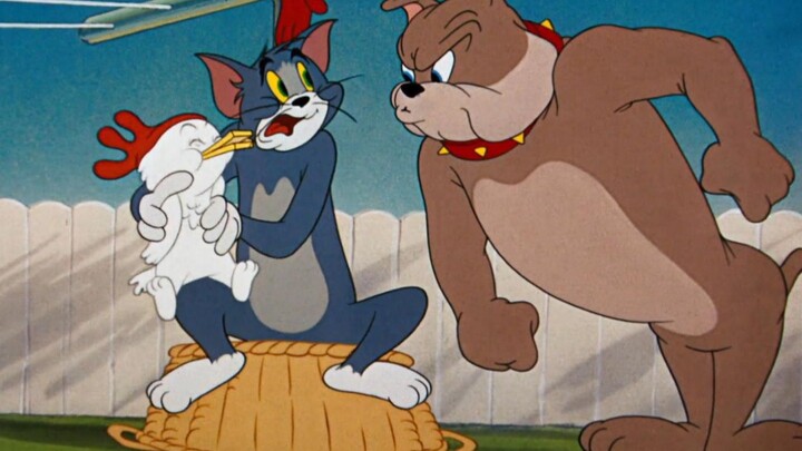 ซา เบ่ย หนิง ฆ่าไก่ดำ