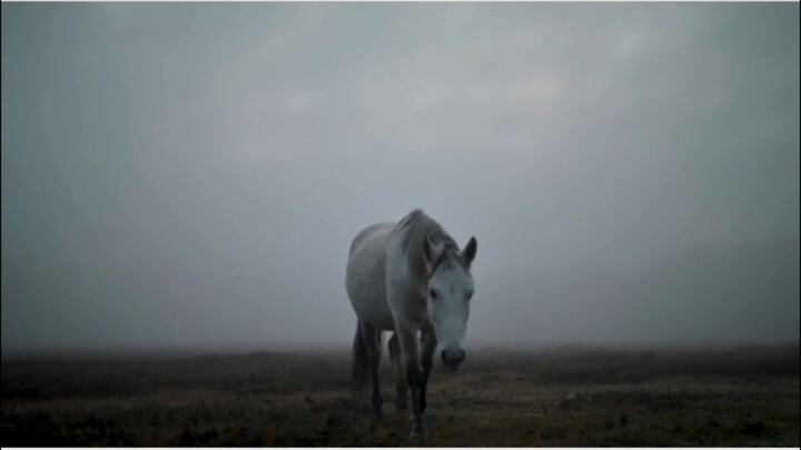 Teruslah melangkah kedepan