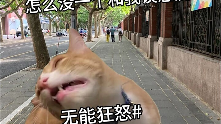 当我恋爱瘾发作了