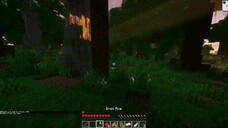 I survive in Minecraft hunger games with a betrayal
