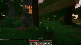 I survive in Minecraft hunger games with a betrayal
