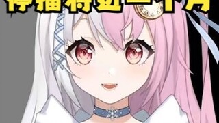 [Snow Fox] Snow Fox vẫn bận rộn sau gần một tháng nghỉ phát sóng