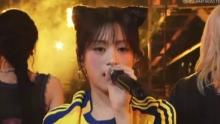 BABYMONSTER《DRIP》241130 Sân khấu HD
