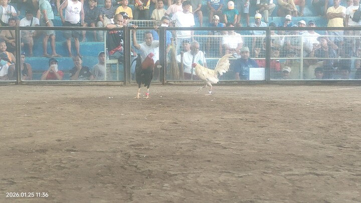 hackfight win jan 25. limay mega cockpit