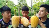 แข่งกินสับปะรด!!!  ใครอ่อนหรือแพ้ต้องเสียเงินค่าสับปะรดที่ซื้อมา