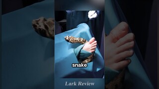 #shorts A Snake Appears On The Operating Table