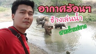 แวะมาหาน้องสุกี้และช้างเชือกอื่นๆว้าวว้าวร้อนๆ555