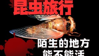一只昆虫被带到陌生的地方，能不能会怎么样？