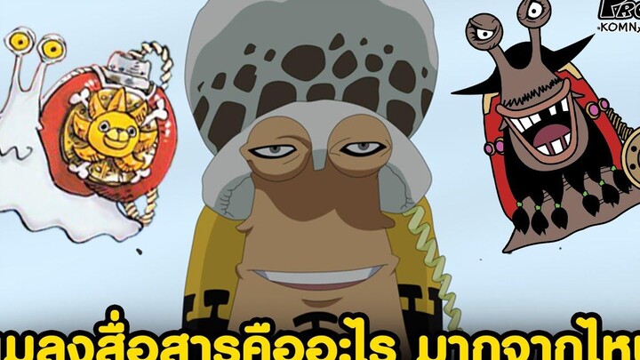 วันพีช - แมลงสื่อสารคืออะไร มากจากไหน มีกี่ประเภท KOMNA CHANNEL