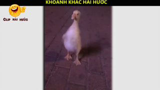 NHỮNG KHOẢNH KHẮC HÀI HƯỚC P9