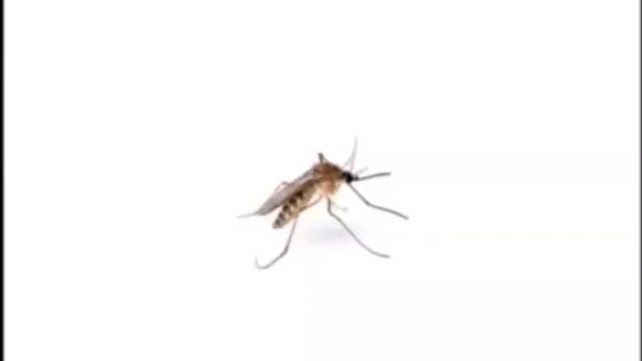 Wake me up buttercup