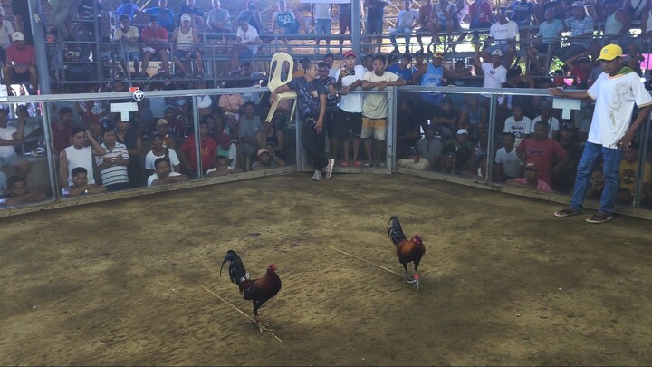 Tornado Hatch x Perfection RH, Mabini Batangas 2Hits Ulutan Champion 1st fight 👣🧠