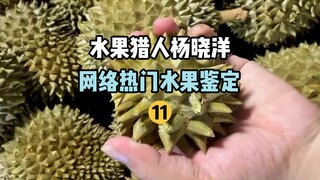 【صائد الفواكه】تحديد الفواكه الشائعة على الإنترنت 11