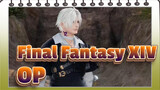 [Final Fantasy XIV:A Realm Reborn/Repost] Anime OP Reviver - MY F