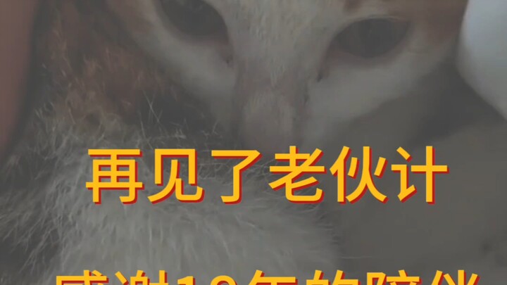 ลาก่อนเพื่อนเก่า 18 ปีแห่งการอยู่เคียงข้าง