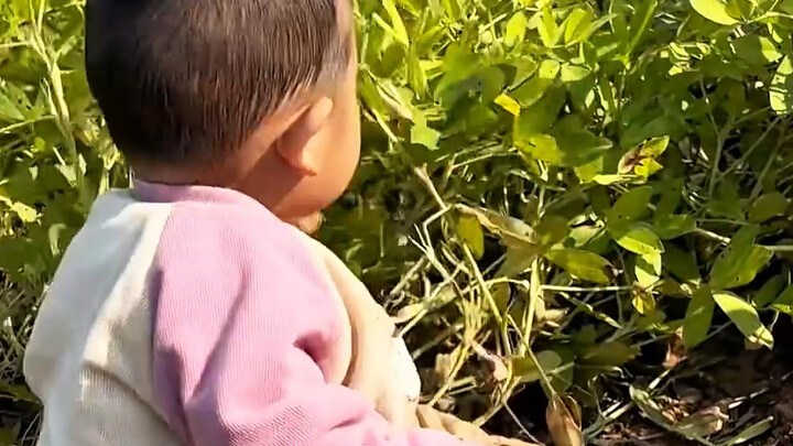 Menurutmu ini aneh nggak?