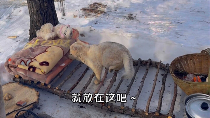 ซีโหยวจี้ 25 บ้านสุดเพอร์เฟกต์