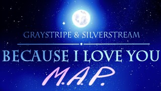 SilverXGray --Because I love you-- Complete MAP