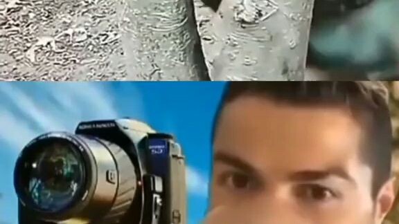 Nat Geo wild moment