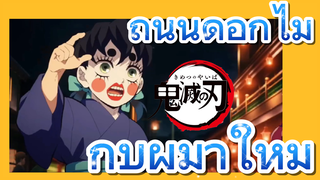 ถนนดอกไม้ กับผู้มาใหม่