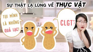 Cây Biết 'Chảy Máu' Và Những Loài Cây Có Khả Năng Đặc Biệt