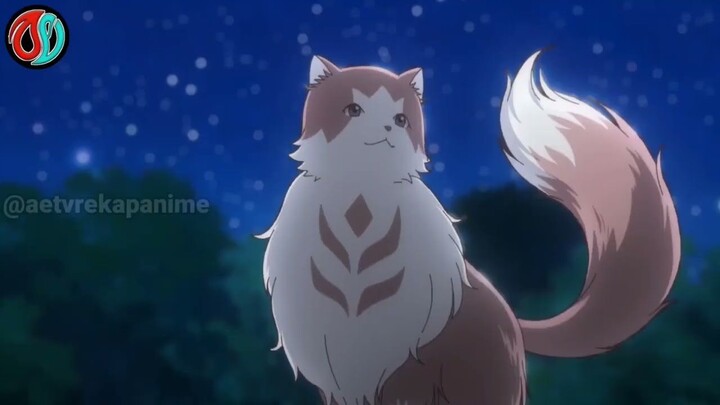 BEGINI NASIB NAGA KALAU DIASUH KUCING YANG BISA SIHIR -alur cerita anime epis
