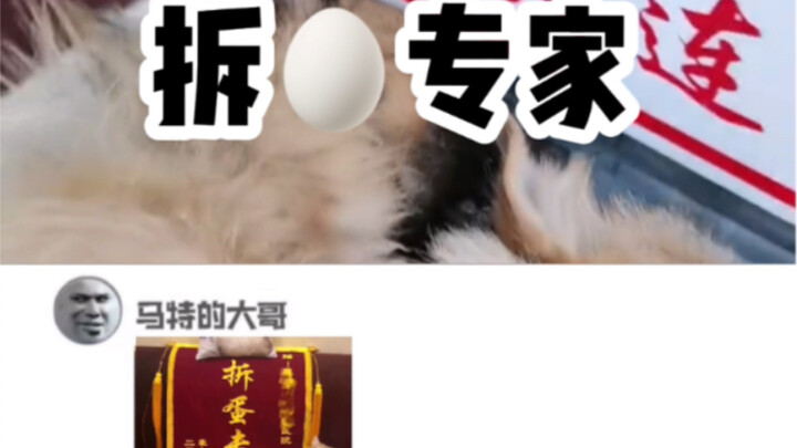 ฮ่าๆๆๆ! ผู้เชี่ยวชาญการกำจัดระเบิดระดับเทพ! เห็นได้ชัดว่าเป็นจิงสือฟาง