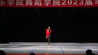 ชุดเทคนิคท่าเต้นคลาสสิก