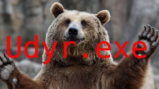 Udyr.exe