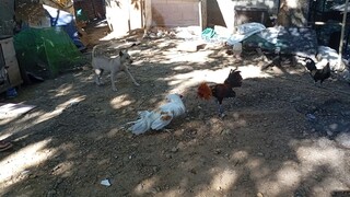 hirap mag bitaw pag mag ISA🥺