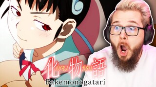 Mayoi Snail | Bakemonogatari Ep 3-5 Reaction