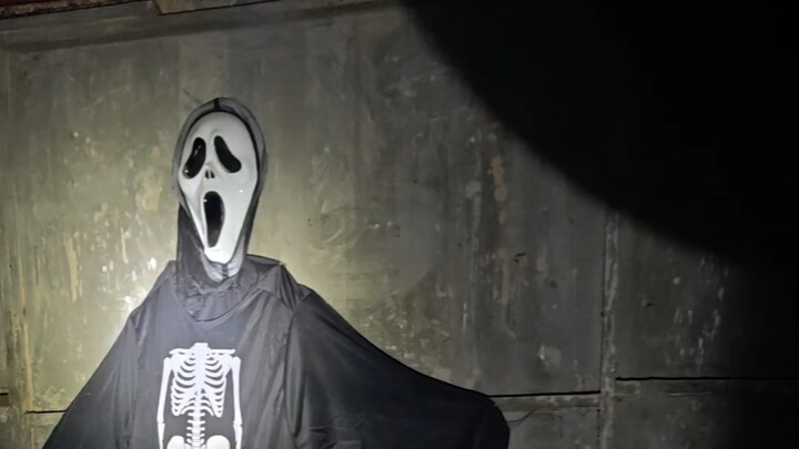 Roller Coaster Haunted House