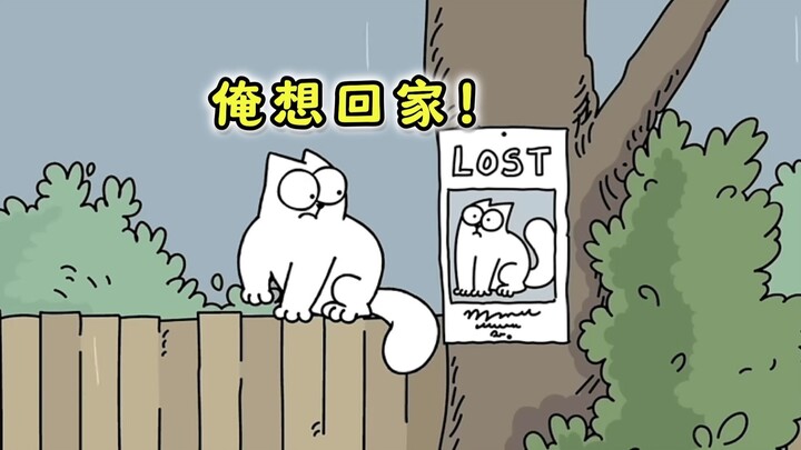 Two hours away from home, missing my owner eighty times!