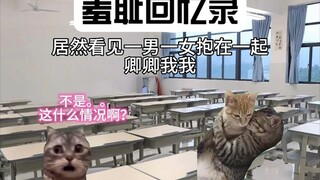 Vậy! Chuyện gì đã xảy ra!