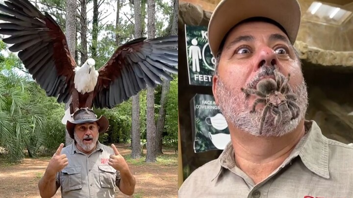 Amazing Animals | Fantastic Beasts And Where To Find Them In Real Life