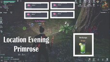 Undawn Evening Rose Location