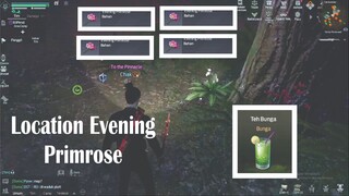 Undawn Evening Rose Location