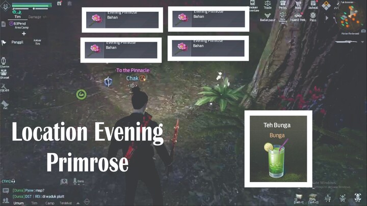 Undawn Evening Rose Location