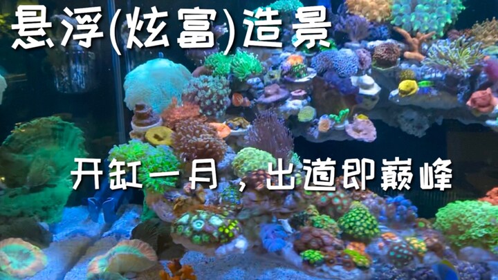 看看出道即巅峰的海缸啥样，跪着看完