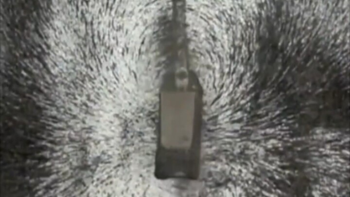 การมองเห็นสนามแม่เหล็ก