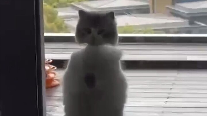 ⚡Zhongyuan Festival⚡