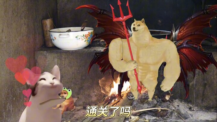 换做你 你会怎么选