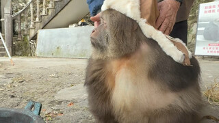 Có một kiểu lạnh gọi là bà nội thấy bạn lạnh